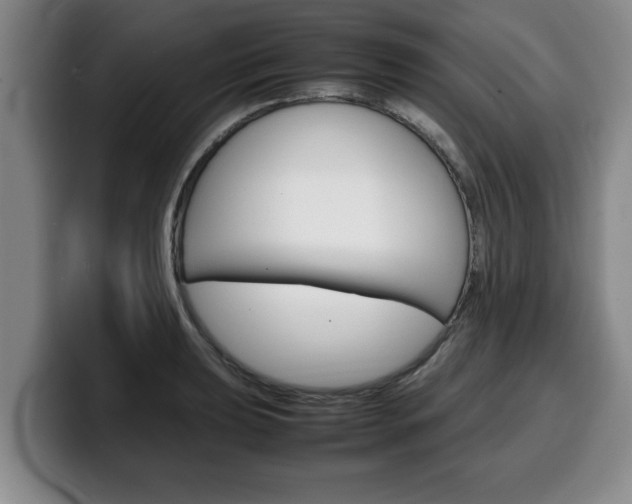 X0000100311039200806051324