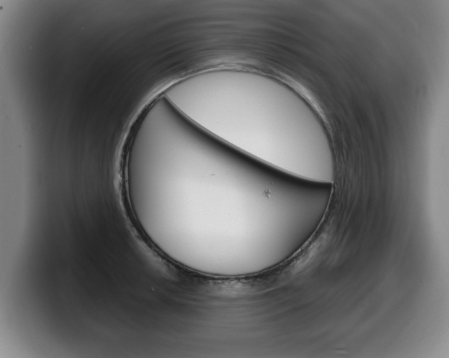 X0000100311042200806051324