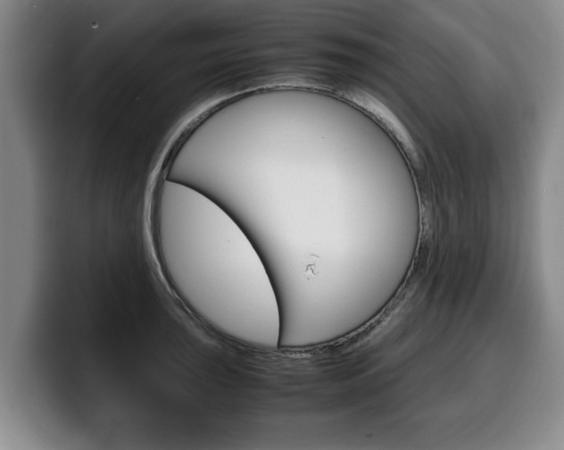 X0000100311043200806051324