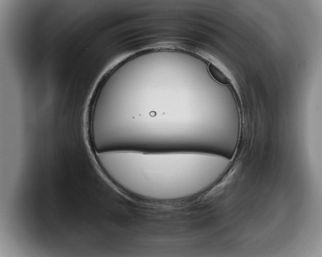 X0000100311045200806051324