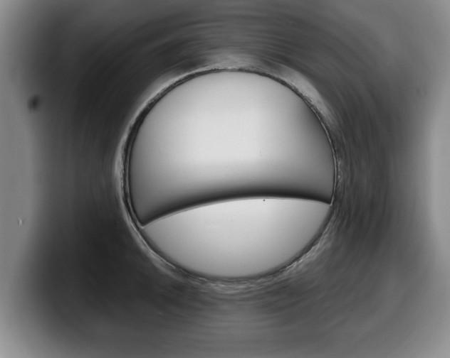 X0000100311046200806051324