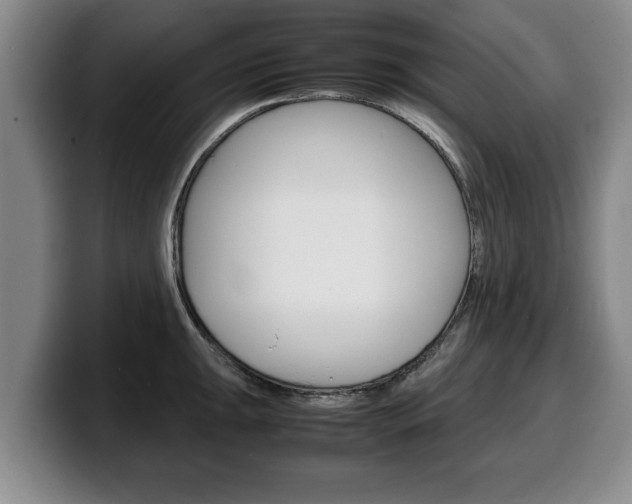 X0000100311047200806051324