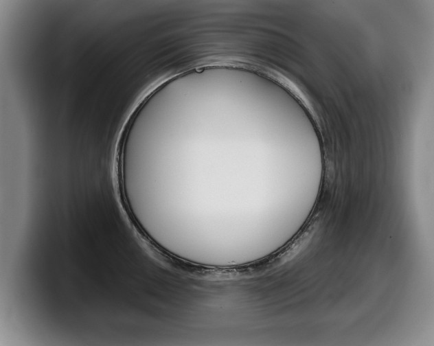 X0000100311050200806051324