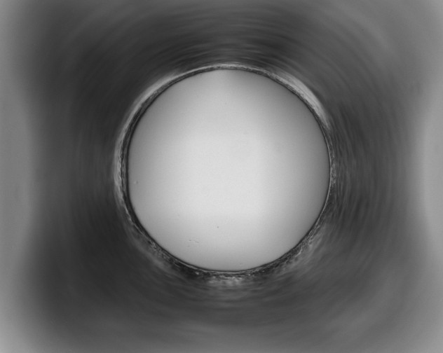 X0000100311051200806051324