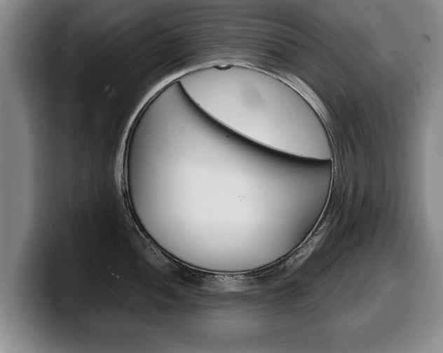 X0000100311052200806051324