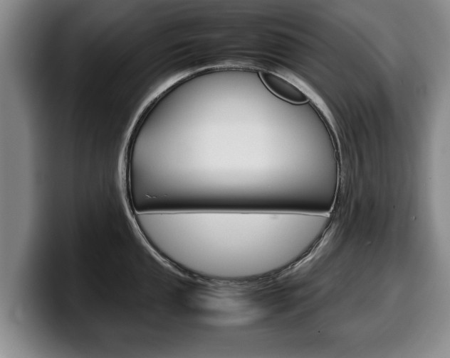 X0000100311053200806051324