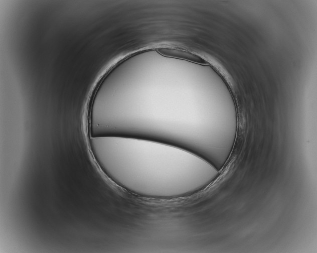X0000100311054200806051324