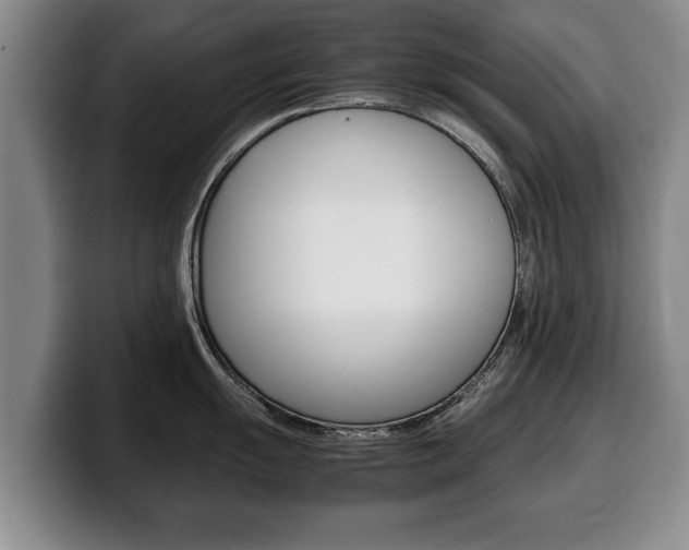 X0000100311055200806051324