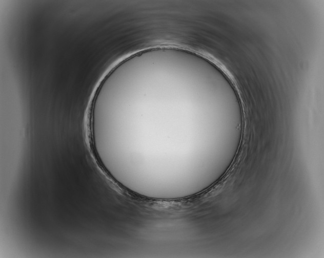 X0000100311056200806051324