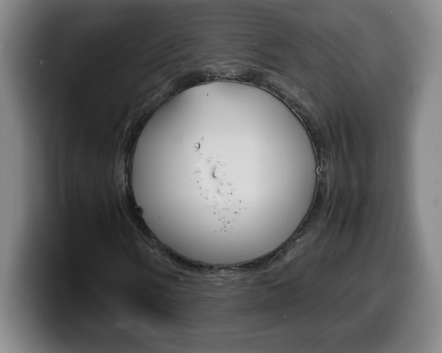 X0000100311058200806051324