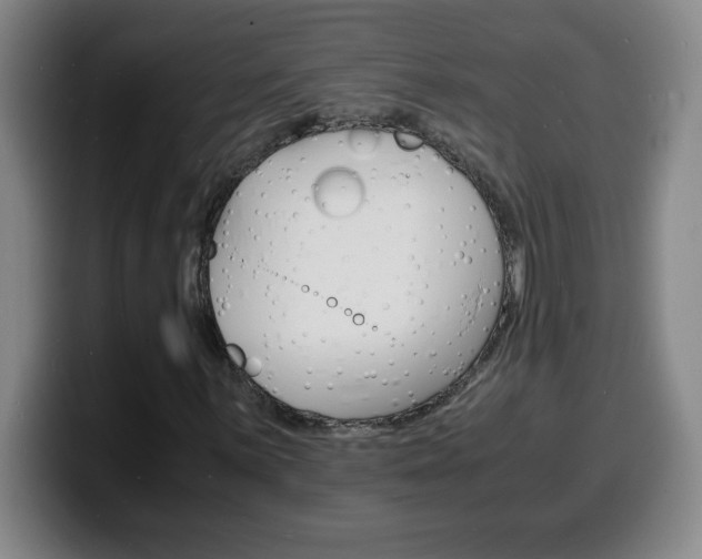 X0000100311059200806051324