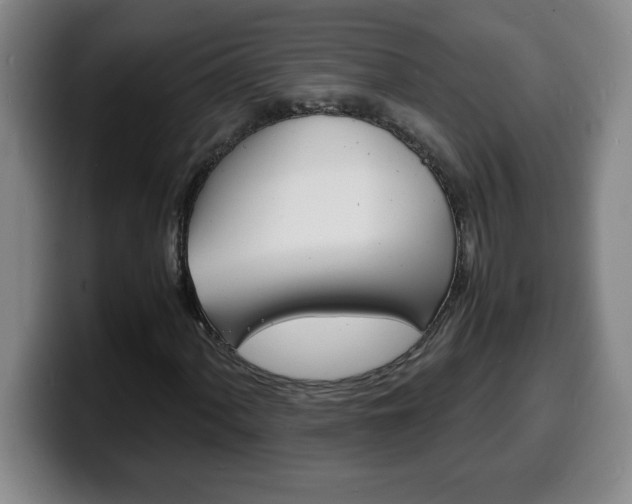 X0000100311060200806051324