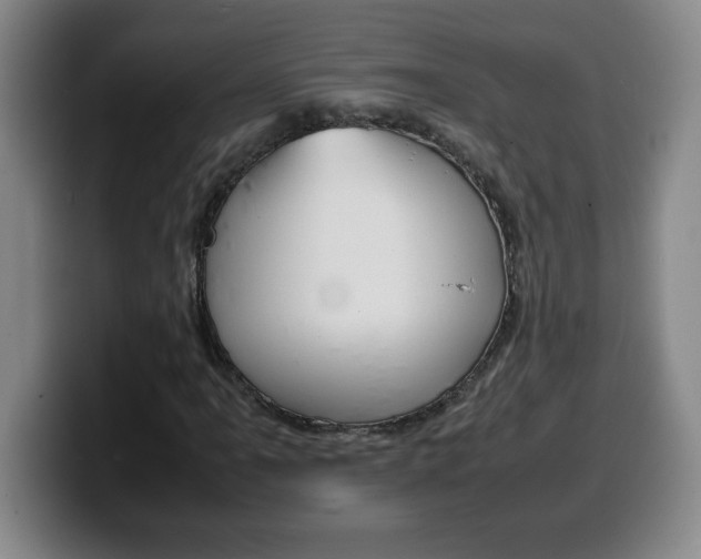X0000100311061200806051324