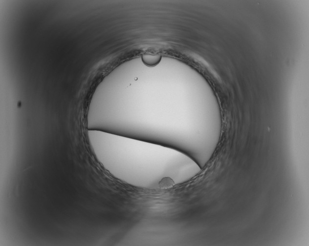 X0000100311063200806051324