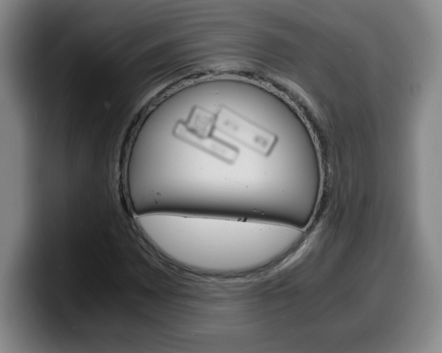 X0000100311065200806051324