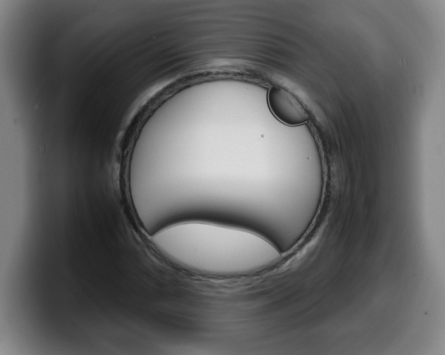 X0000100311066200806051324