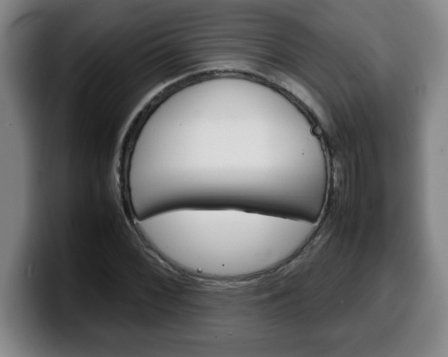 X0000100311068200806051324