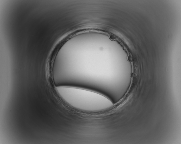 X0000100311069200806051324