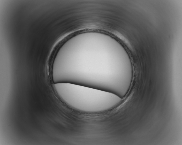 X0000100311070200806051324
