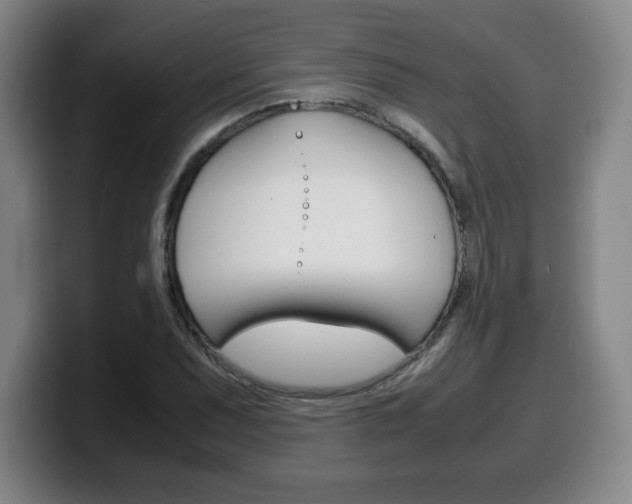 X0000100311071200806051324