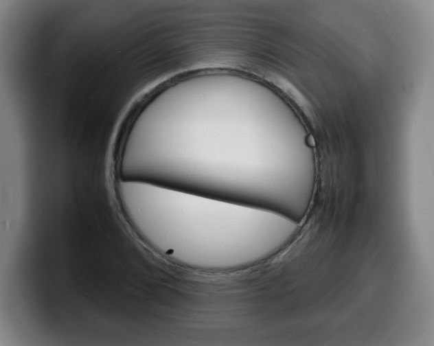 X0000100311072200806051324