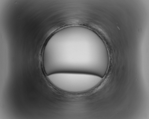 X0000100311073200806051324