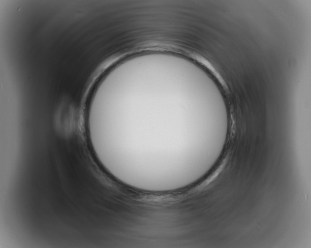 X0000100311074200806051324
