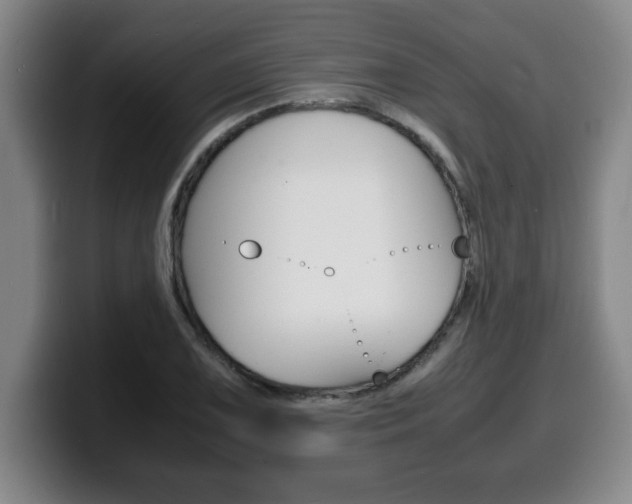 X0000100311075200806051324