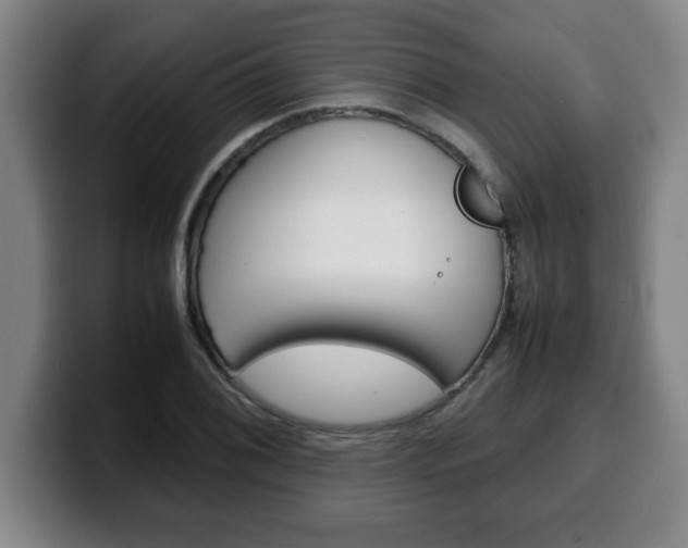 X0000100311076200806051324