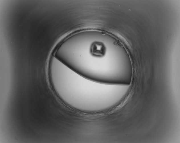 X0000100311077200806051324