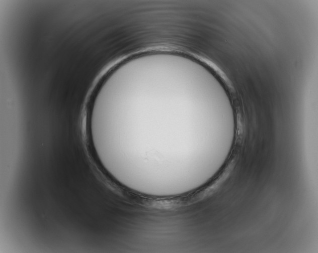 X0000100311078200806051324