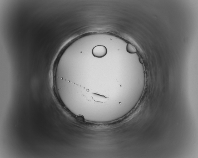 X0000100311079200806051324