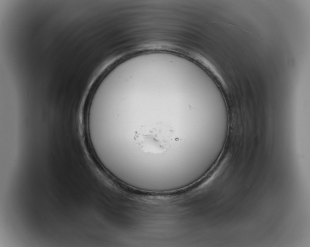 X0000100311082200806051323
