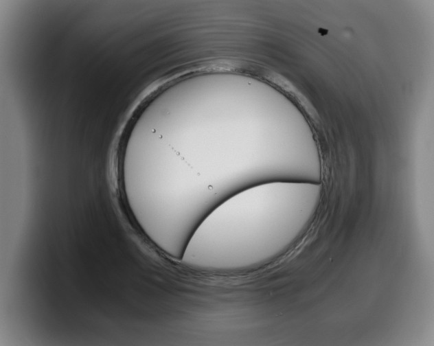 X0000100311083200806051323