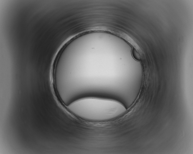X0000100311084200806051323
