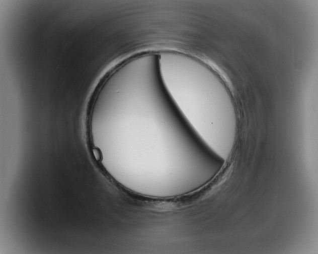 X0000100311085200806051323