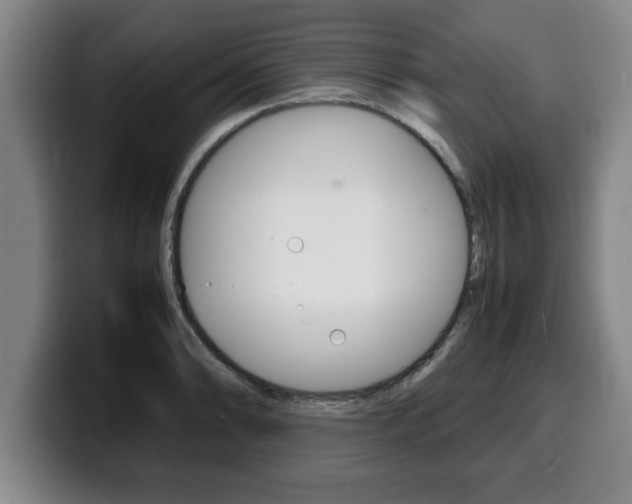 X0000100311086200806051323