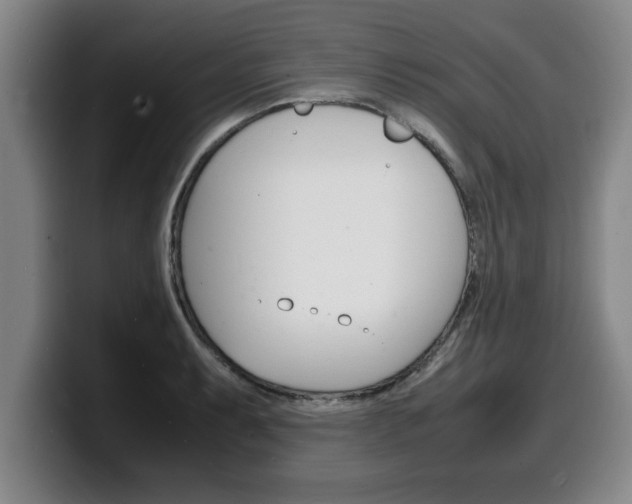 X0000100311087200806051323