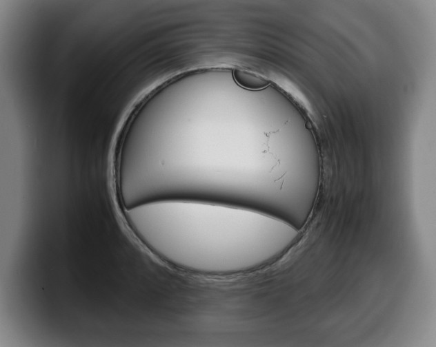 X0000100311088200806051323
