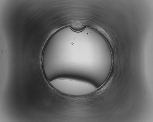 X0000100311089200806051323