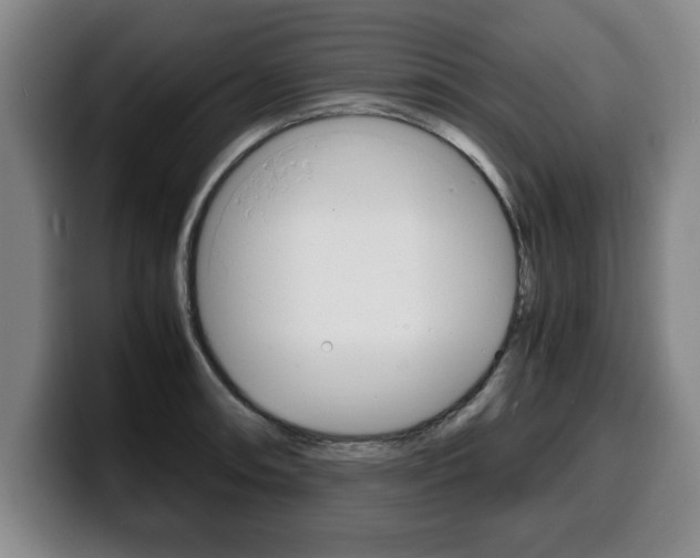X0000100311090200806051323