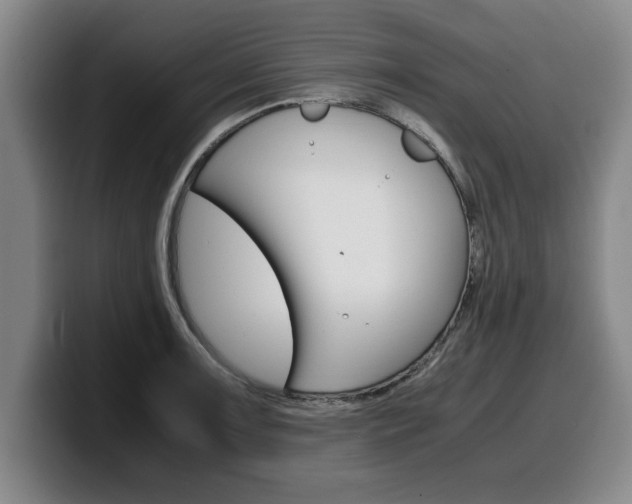 X0000100311091200806051323