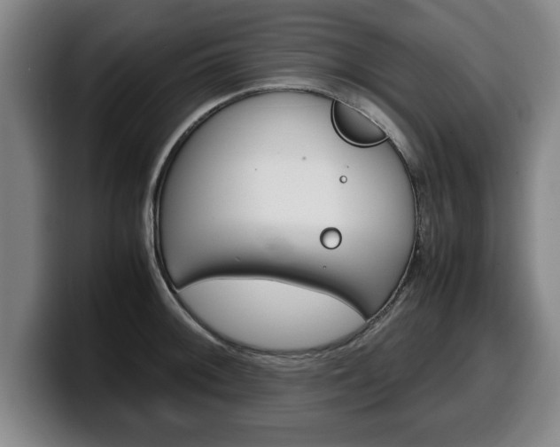 X0000100311092200806051323