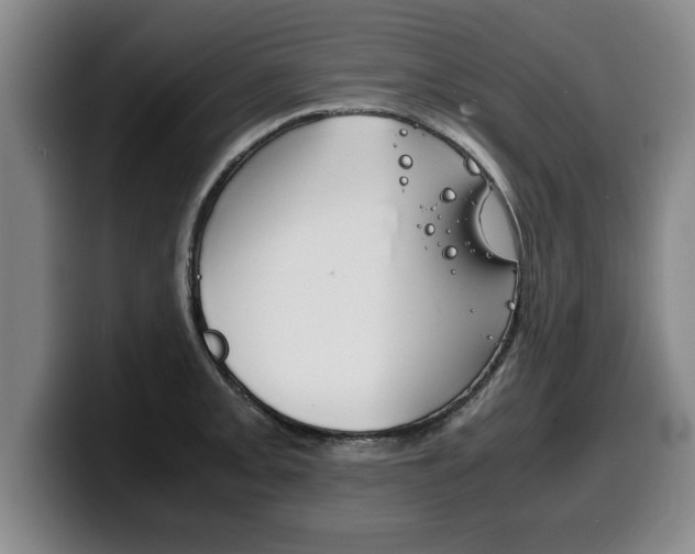 X0000100311093200806051323