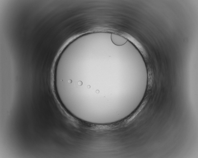 X0000100311094200806051323