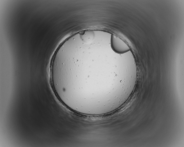 X0000100311095200806051323