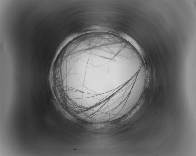 X0000100311098200806051323