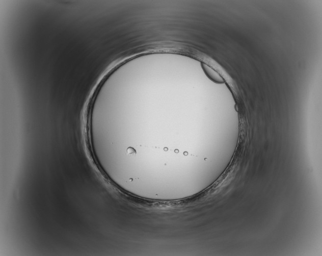 X0000100311099200806051323