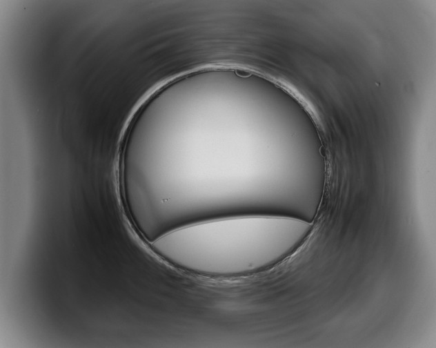 X0000100311100200806051323