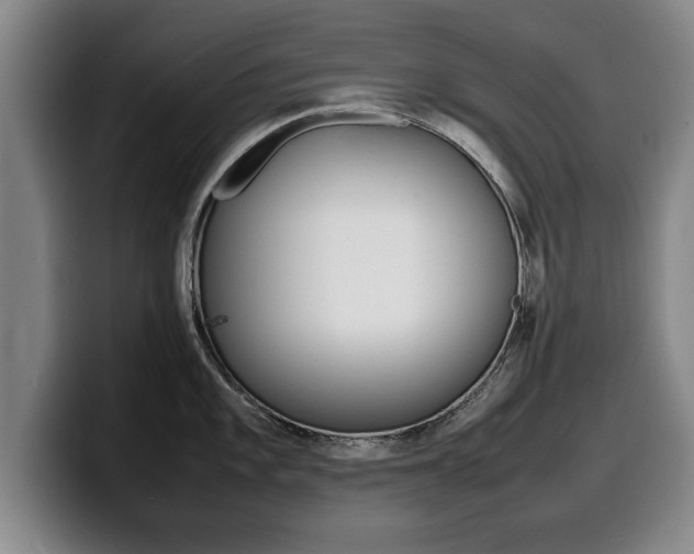X0000100311101200806051323